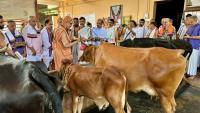 HH Swamiji's visit to Shri Venkatramana Temple Goshala at Karkala (14 Feb 2025)